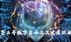 墨西哥数字货币及其发展现状