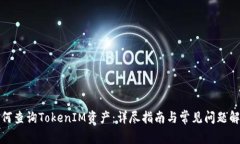 如何查询TokenIM资产：详尽