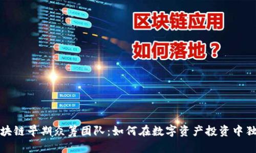 揭秘区块链早期众筹团队：如何在数字资产投资中独占鳌头