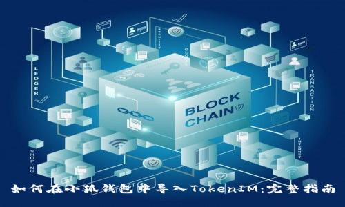 如何在小狐钱包中导入TokenIM：完整指南