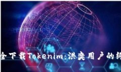 如何安全下载Tokenim：洪奕用户的终极指南