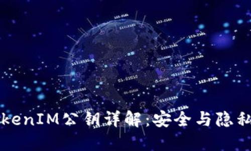 ### TokenIM公钥详解：安全与隐私的守护者