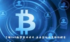 了解SHG数字货币项目：未来金融的革命性探索