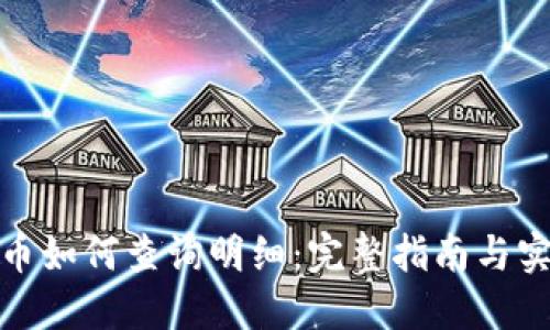 数字货币如何查询明细：完整指南与实用技巧